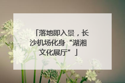落地即入景，长沙机场化身“湖湘文化展厅”