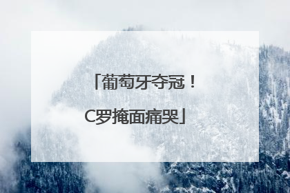 葡萄牙夺冠！C罗掩面痛哭