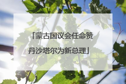 蒙古国议会任命赞丹沙塔尔为新总理