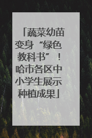 蔬菜幼苗变身“绿色教科书”！哈市各区中小学生展示种植成果