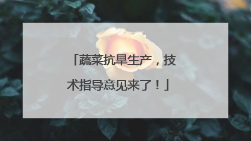 蔬菜抗旱生产，技术指导意见来了！