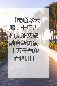 蜀道翠云廊：千年古柏见证文旅融合新图景丨万千气象看四川