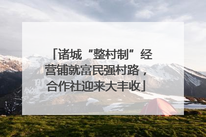 诸城“整村制”经营铺就富民强村路，合作社迎来大丰收