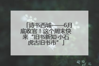 诗书西城——6月底收官！这个周末快来“旧书新知·小石虎古旧书市”