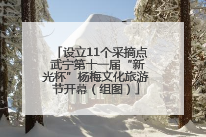 设立11个采摘点 武宁第十一届“新光杯”杨梅文化旅游节开幕（组图）