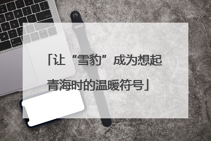 让“雪豹”成为想起青海时的温暖符号