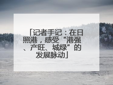 记者手记：在日照港，感受“港强、产旺、城绿”的发展脉动