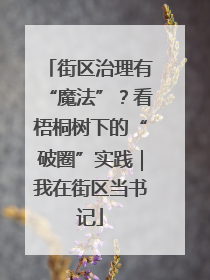 街区治理有“魔法”？看梧桐树下的“破圈”实践｜我在街区当书记