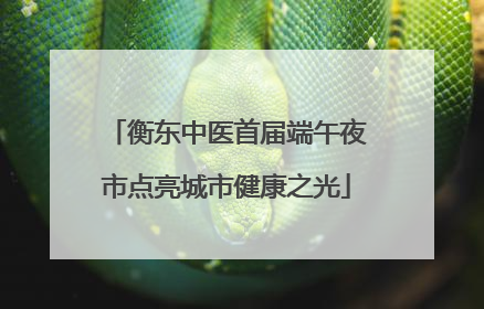 衡东中医首届端午夜市点亮城市健康之光