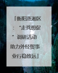 衡阳蒸湘区：“走找想促”调研活动 助力外经贸事业行稳致远