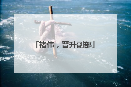 褚伟，晋升副部