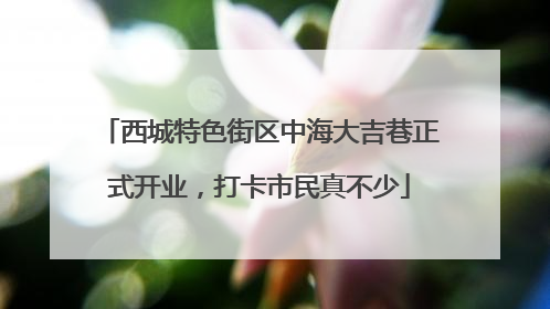 西城特色街区中海大吉巷正式开业，打卡市民真不少