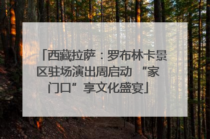 西藏拉萨：罗布林卡景区驻场演出周启动 “家门口”享文化盛宴
