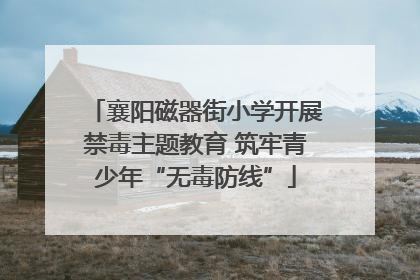 襄阳磁器街小学开展禁毒主题教育 筑牢青少年“无毒防线”