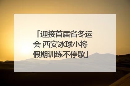 迎接首届省冬运会 西安冰球小将假期训练不停歇
