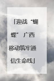 迎战“蝴蝶” 广西移动筑牢通信生命线