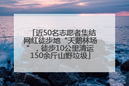 近50名志愿者集结网红徒步地“天鹅林场”，徒步10公里清运150余斤山野垃圾