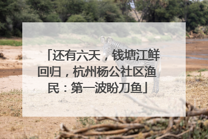 还有六天，钱塘江鲜回归，杭州杨公社区渔民：第一波盼刀鱼