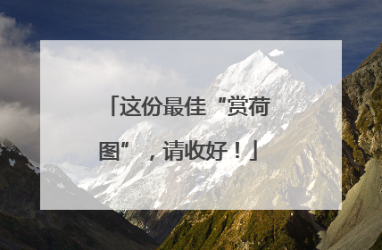 这份最佳“赏荷图”，请收好！