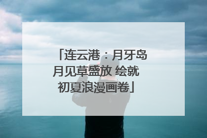 连云港：月牙岛月见草盛放 绘就初夏浪漫画卷