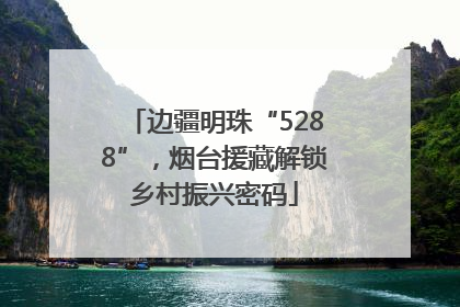 边疆明珠“5288”，烟台援藏解锁乡村振兴密码