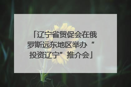 辽宁省贸促会在俄罗斯远东地区举办“投资辽宁”推介会