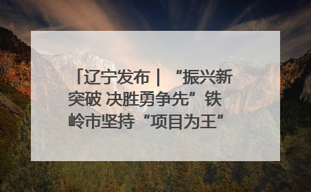 辽宁发布｜“振兴新突破 决胜勇争先”铁岭市坚持“项目为王”推进经济高质量发展