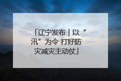 辽宁发布｜以“汛”为令 打好防灾减灾主动仗
