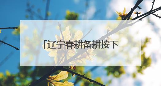 辽宁春耕备耕按下“科技快进键”