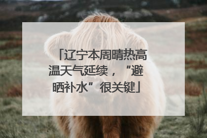辽宁本周晴热高温天气延续，“避晒补水”很关键