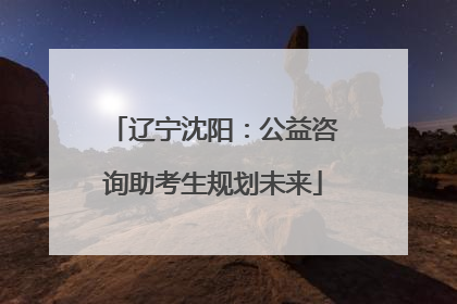辽宁沈阳：公益咨询助考生规划未来