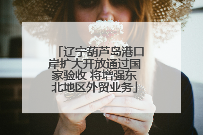 辽宁葫芦岛港口岸扩大开放通过国家验收 将增强东北地区外贸业务