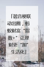 谐音梗联动出圈，蚂蚁财富“指数+”让理财更“加”生活化