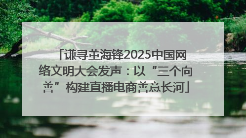 谦寻董海锋2025中国网络文明大会发声：以“三个向善”构建直播电商善意长河