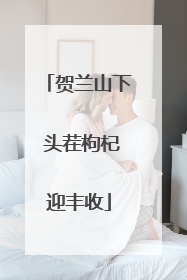 贺兰山下 头茬枸杞迎丰收