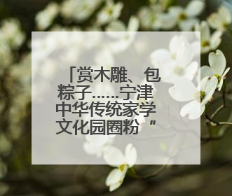 赏木雕、包粽子……宁津中华传统家学文化园圈粉“洋朋友”