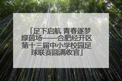 足下启航 青春逐梦绿茵场——合肥经开区第十三届中小学校园足球联赛圆满收官