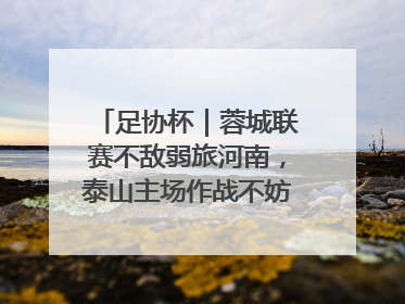 足协杯｜蓉城联赛不敌弱旅河南，泰山主场作战不妨“抄作业”