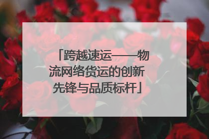 跨越速运——物流网络货运的创新先锋与品质标杆
