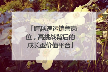 跨越速运销售岗位，高挑战背后的成长型价值平台