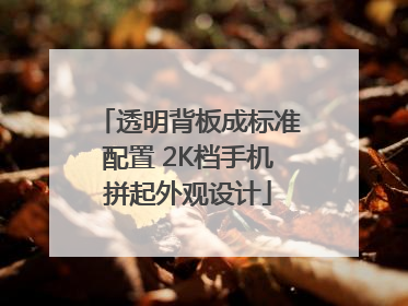 透明背板成标准配置 2K档手机拼起外观设计