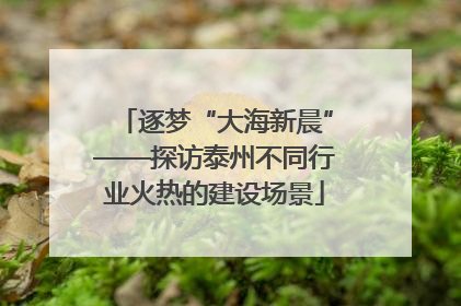 逐梦“大海新晨”——探访泰州不同行业火热的建设场景