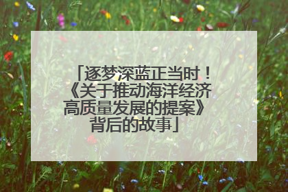 逐梦深蓝正当时！《关于推动海洋经济高质量发展的提案》背后的故事