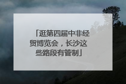 逛第四届中非经贸博览会，长沙这些路段有管制