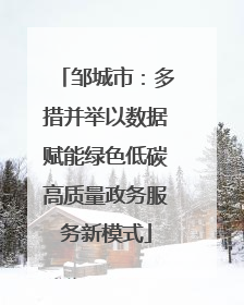 邹城市：多措并举以数据赋能绿色低碳高质量政务服务新模式