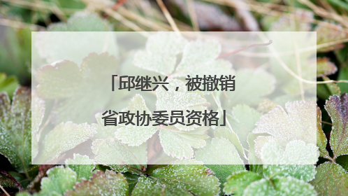 邱继兴，被撤销省政协委员资格