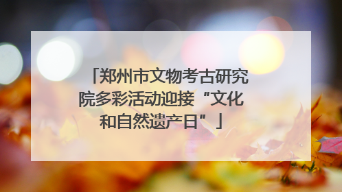 郑州市文物考古研究院多彩活动迎接“文化和自然遗产日”