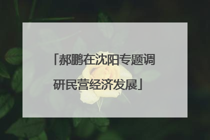 郝鹏在沈阳专题调研民营经济发展