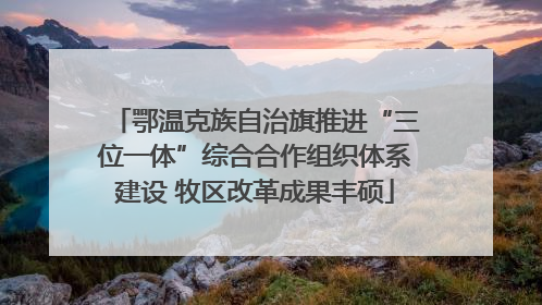 鄂温克族自治旗推进“三位一体”综合合作组织体系建设 牧区改革成果丰硕