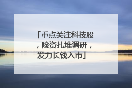 重点关注科技股，险资扎堆调研，发力长钱入市